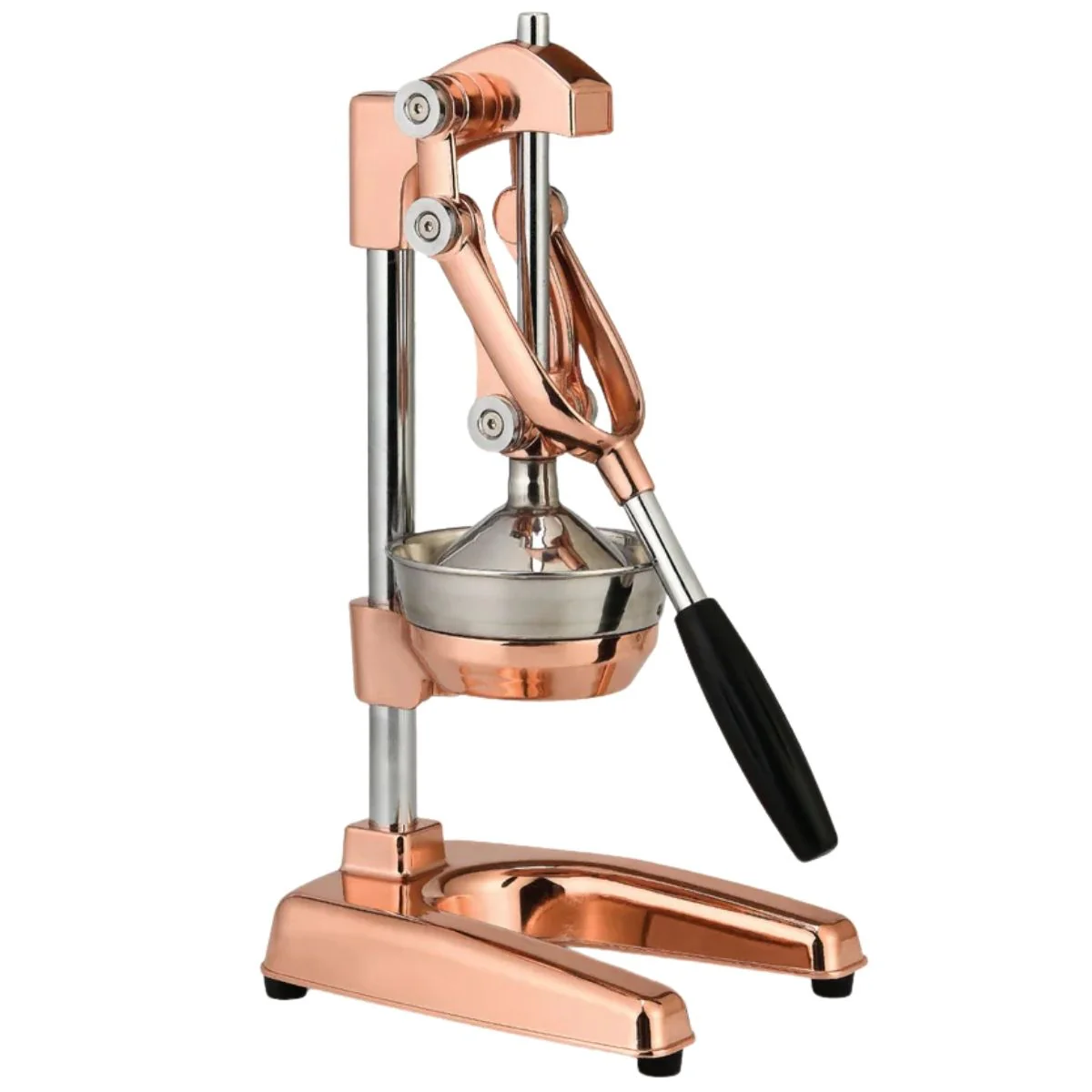 Cast Iron Juicer - Image 33